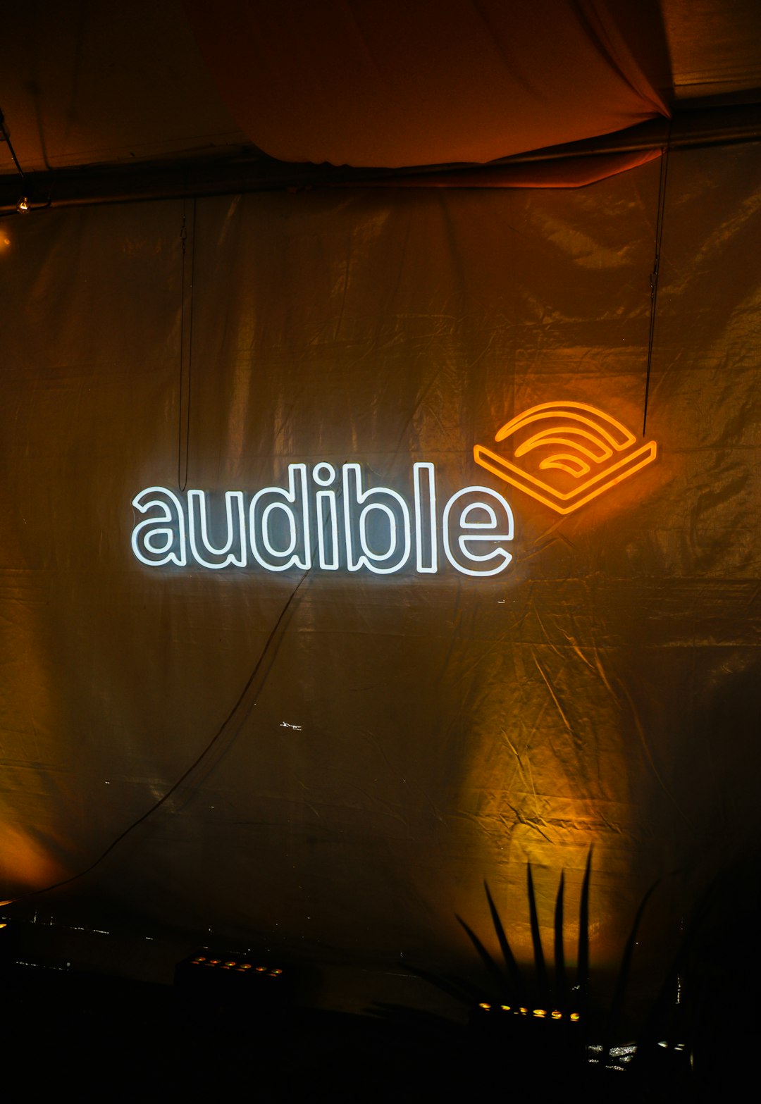 Audible Neon Sign Display